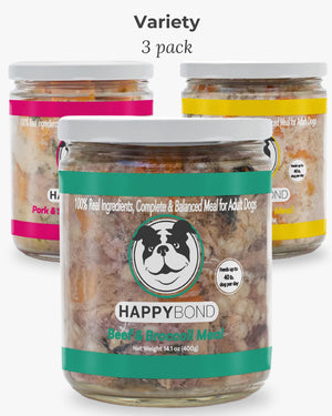 Power Food Bundle | Variety Pack