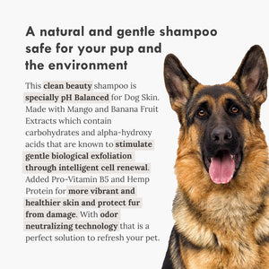 Deep Clean - Shampoo