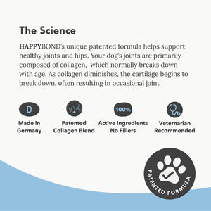 Collagen Hip & Joint Support for Puppies: A product image featuring a black circle with a paw print and a check mark, surrounded by blue circles and dots.