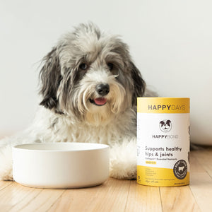 A dog lying next to a bowl of Collagen Hip & Joint Support for 3-7yr Old Dogs.