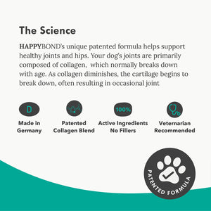 Collagen Hip & Joint Support for Senior Dogs