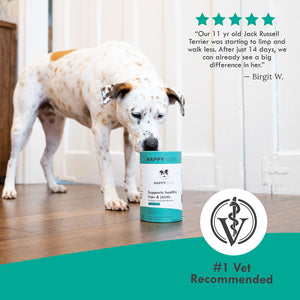 Collagen Hip & Joint Support for Senior Dogs