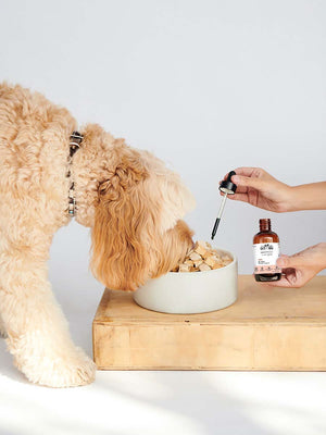 Be Well Elixir