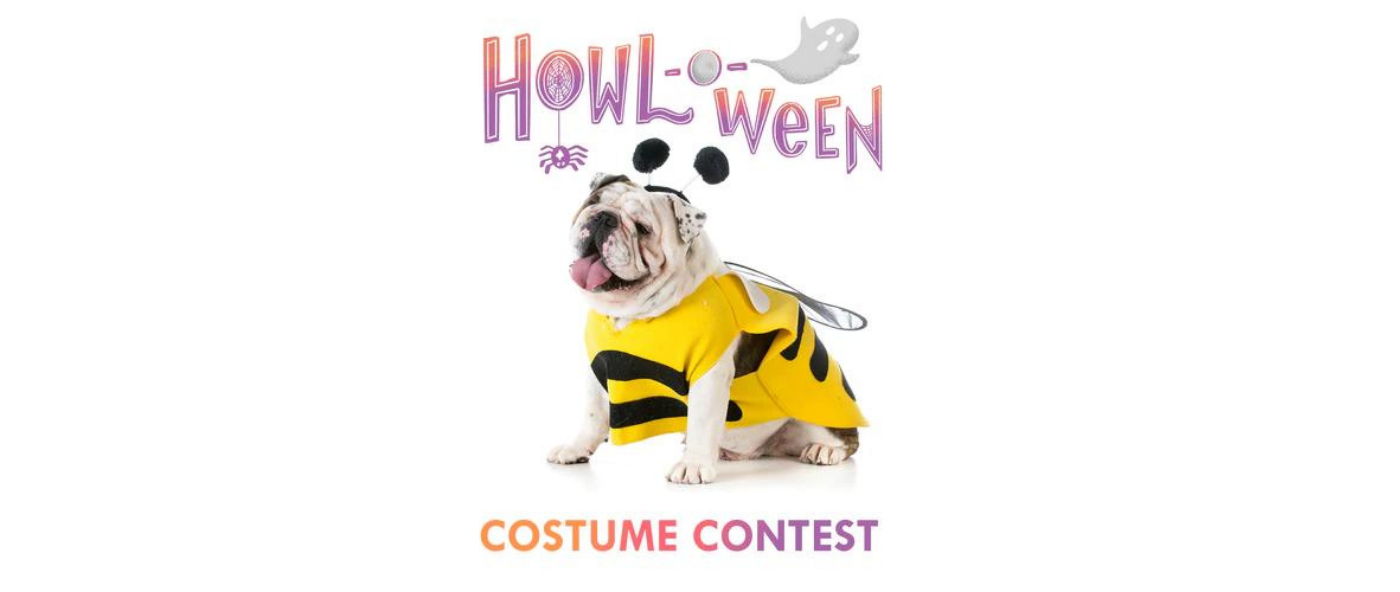 HAPPYBOND Halloween Costume Contest
