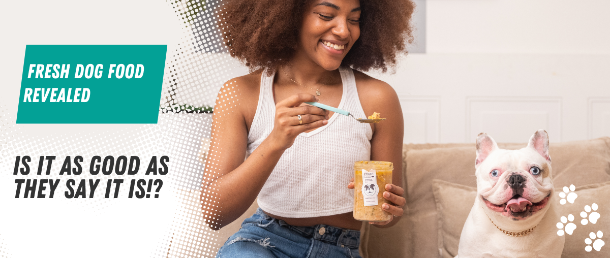 [Video] Fresh Dog Food Honest Review: A Deep Dive into Happy Bond's Power Food