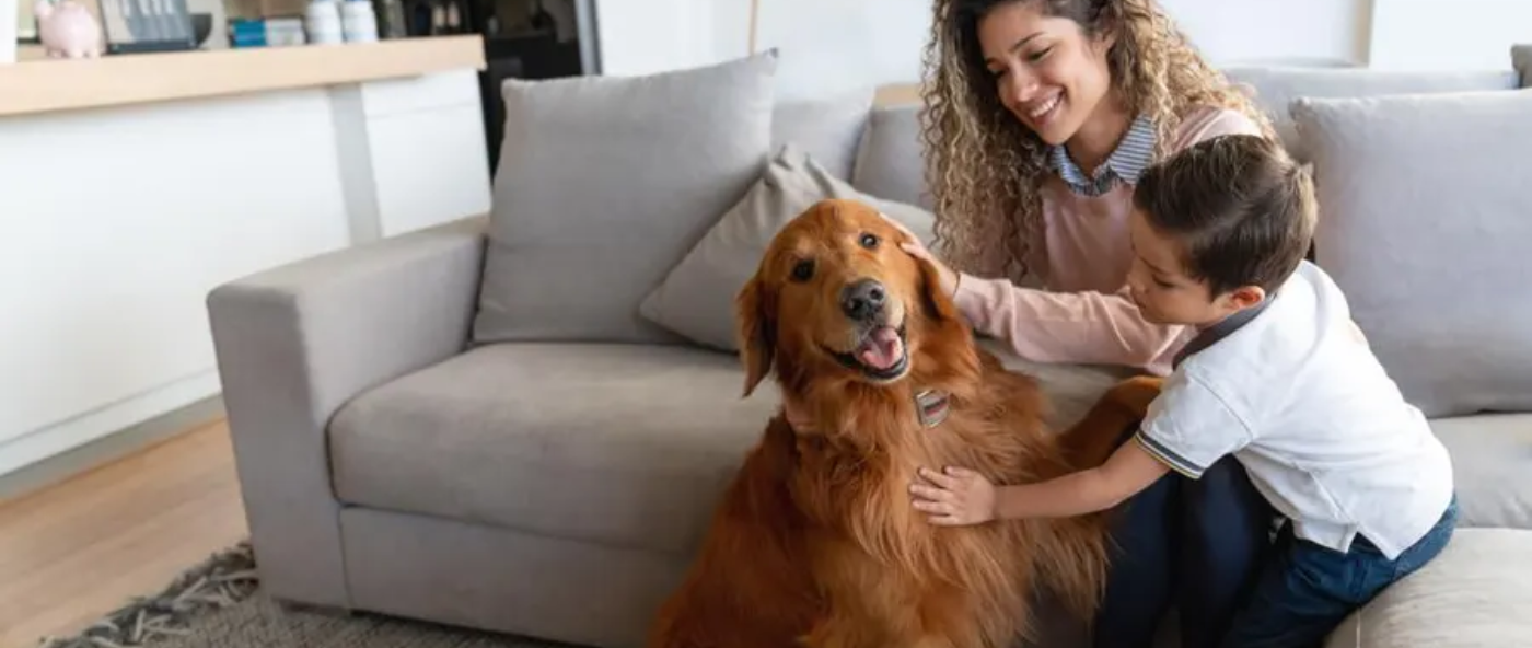 8 Tips to Help Your Dog Live a Longer and Healthier Life