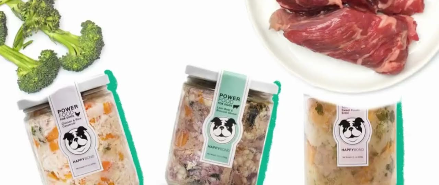 5 Healthy Ingredients in High-Quality Dog Food