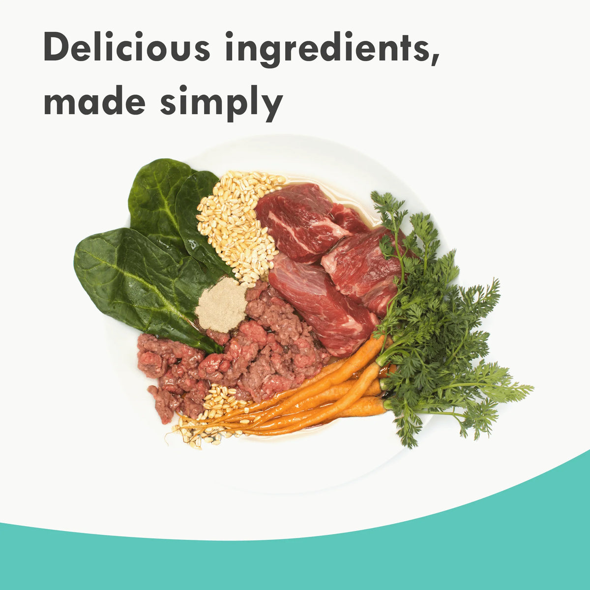 Power Food Bundle | Variety Pack