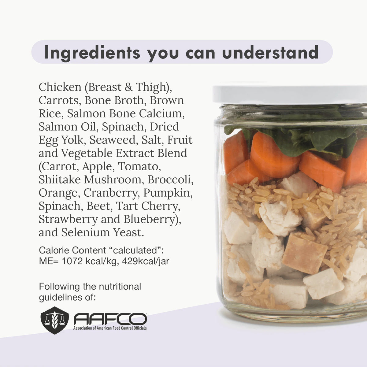 Power Food Bundle | Variety Pack