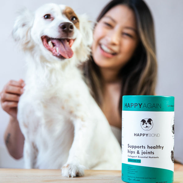 Collagen for dogs fashion joints