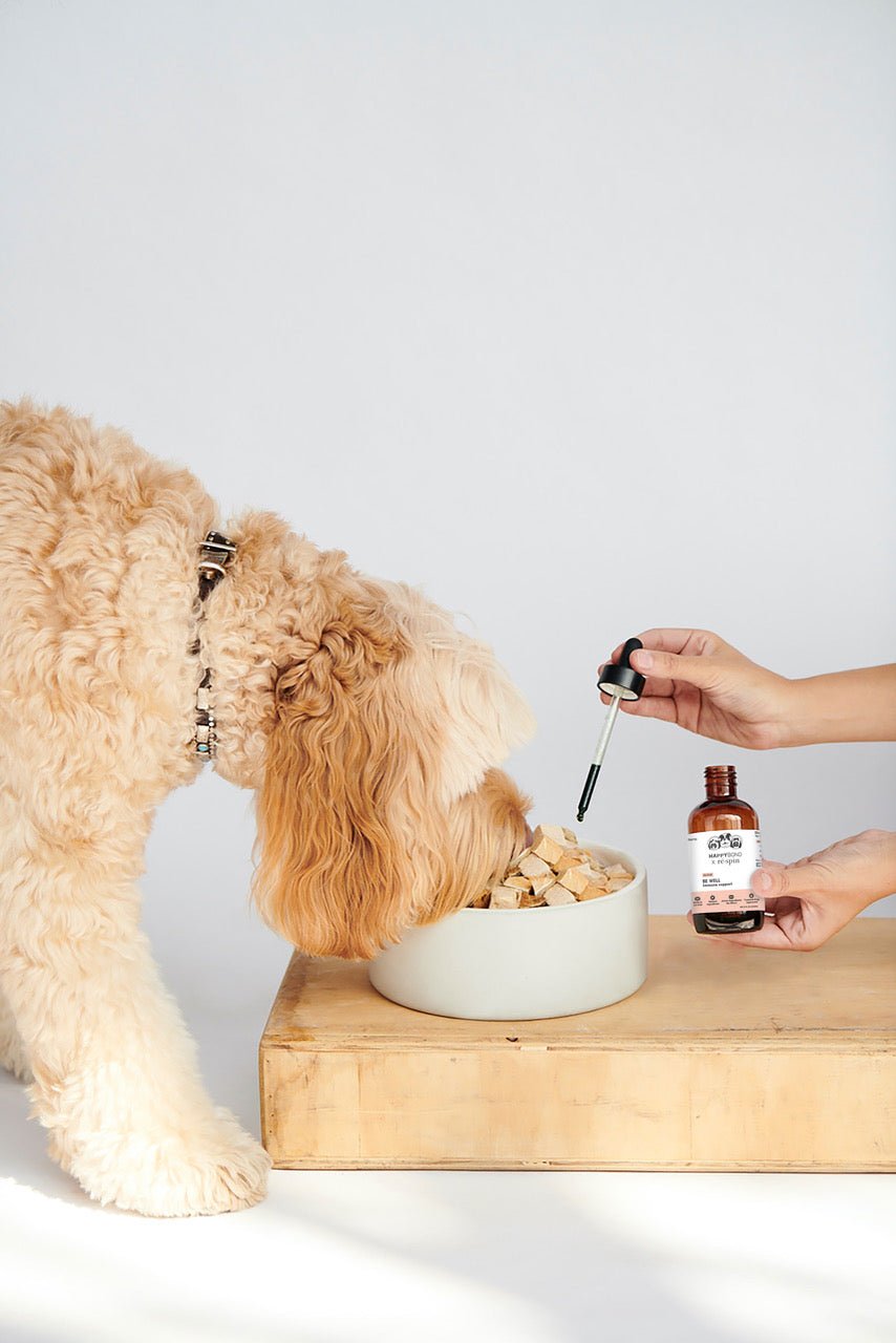 Wellness Booster Variety Pack